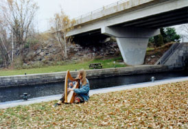 Bridge near Buckhorn lock