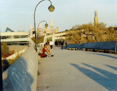 Trent U. Bridge